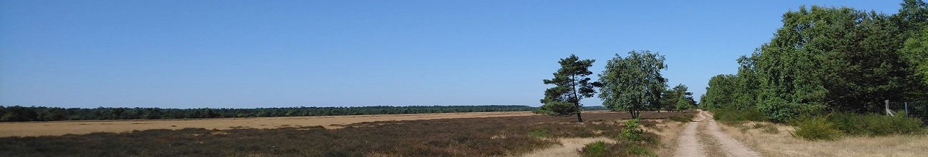 Sommer in der Retzoer Heide